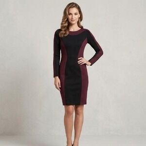 CACHE Sheath Cocktail Dress  Ponte Knit Long Sleeve Sz 2